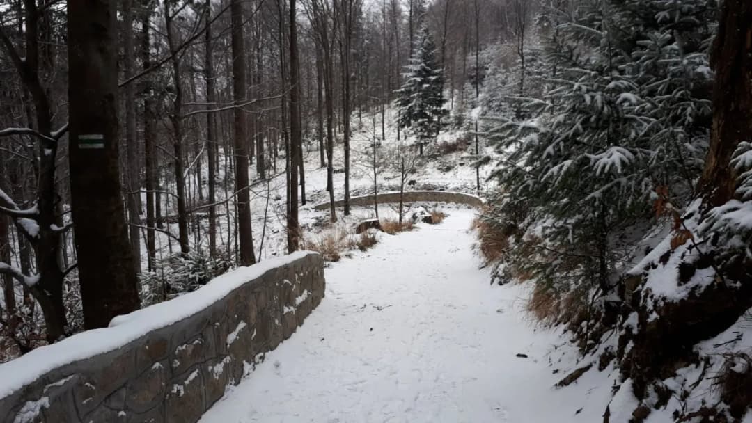 Jak dojechać na Kozia Górę - sprawdzone trasy i porady podróżne