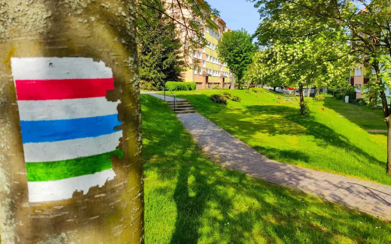 Co oznaczają kolory szlaków rowerowych i jak wpływają na bezpieczeństwo?