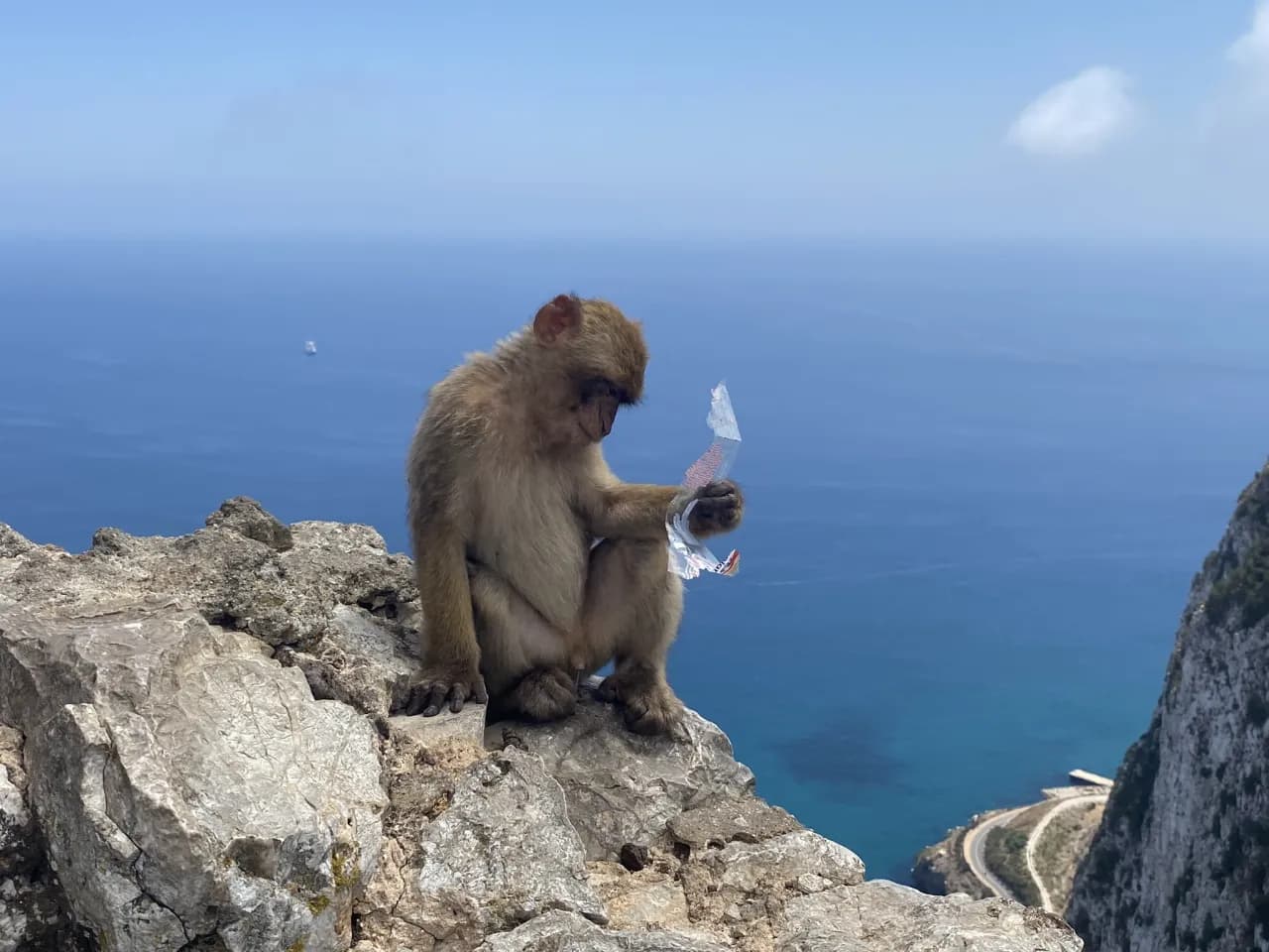 Najlepsze atrakcje w Gibraltarze, które musisz zobaczyć podczas wizyty