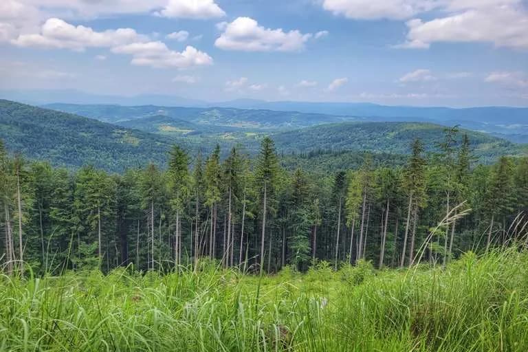 Stryszawa atrakcje – odkryj ukryte skarby i piękne widoki