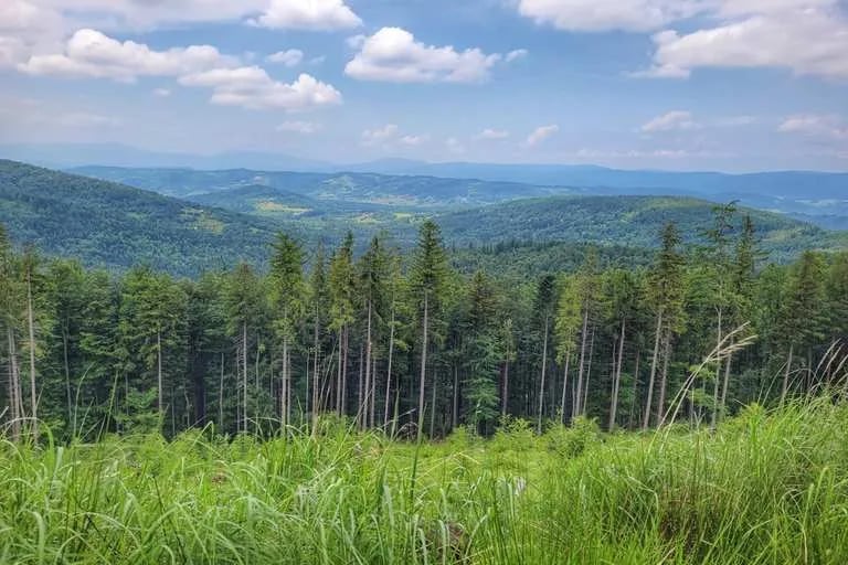 Stryszawa atrakcje – odkryj ukryte skarby i piękne widoki